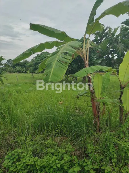 image KAVLING EKSKLUSIF 500M² DEKAT PANTAI BALI (3)