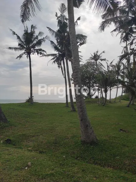 image KAVLING EKSKLUSIF 500M² DEKAT PANTAI BALI (4)