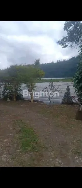 image DIJUAL TANAH SAMPING DANAU BEDUGUL (3)