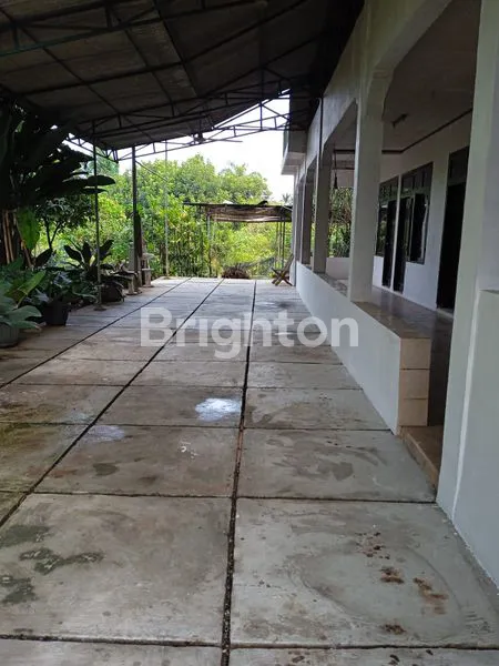 image LAHAN 2 HEKTAR DI PARUNG BOGOR, HANYA RP2 JUTA/M² (6)