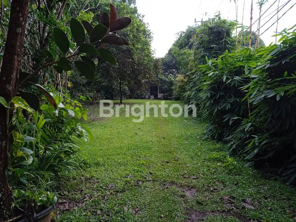 image LAHAN 2 HEKTAR DI PARUNG BOGOR, HANYA RP2 JUTA/M² (5)