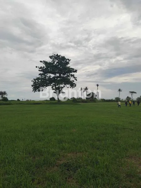 image TANAH LUAS 7.356M² DI PANTAI BELONG BALI (3)