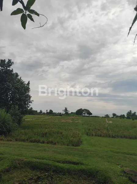 image TANAH LUAS 7.356M² DI PANTAI BELONG BALI (2)