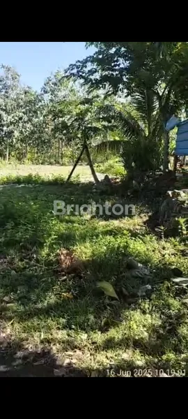 image TANAH MURAH (1)