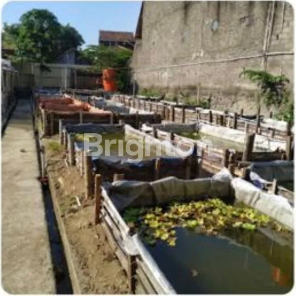 image GUDANG ADA BEKAS KOLAM IKAN LELE DAERAH KADIPIRO BANJARSARI SOLO (3)