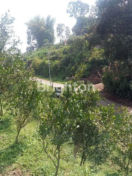 image TANAH PRODUKTIF L.1.050 M² NOL JALAN ASPAL DEKAT SKY LAND MALANG (3)