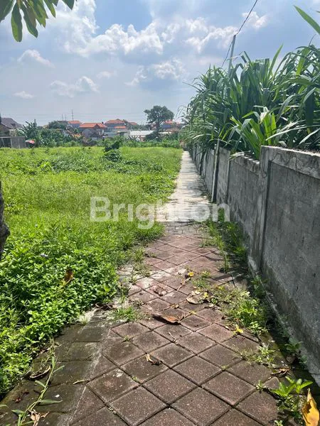 image DISEWAKAN TANAH RAYA MUDING KELOD  (1)