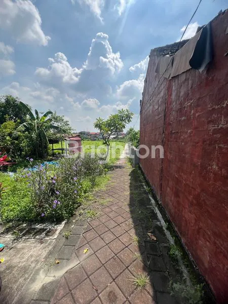 image DISEWAKAN TANAH RAYA MUDING KELOD  (4)