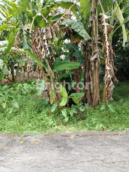 image TANAH DI PARIT PARWASAL (1)