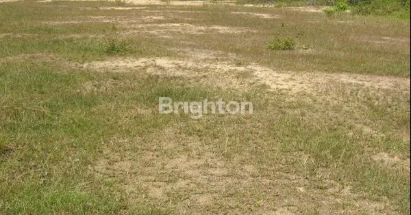 Gambar Property TANAH KAVLING MURAH DI GRESIK