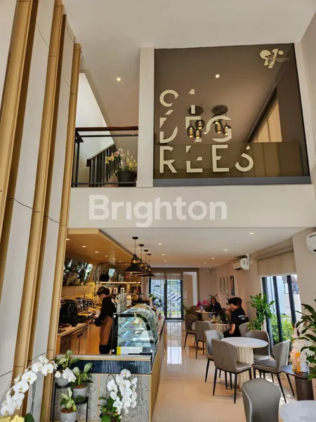 image RUKO PASADENA SQUARE NORTH TIPE STUDIO LOFT 2 FACADE, 3 LANTAI, PASADENA CENTRAL DISTRICT, GADING SERPONG, TANGERANG (5)