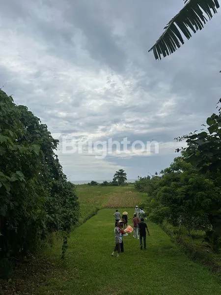 image BEACH FRONT LAND (1)