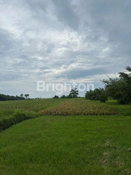 image BEACH FRONT LAND (2)
