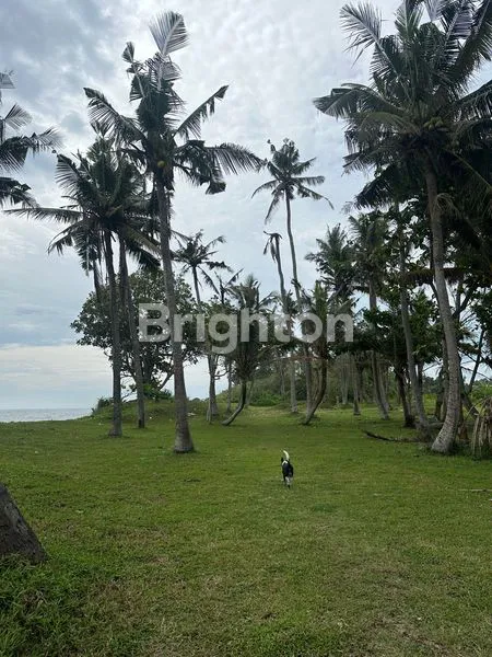 image BEACH FRONT LAND (4)
