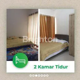 image BRASSIA HILL (2)