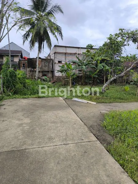 image KAPLING TENGAH KOTA (3)