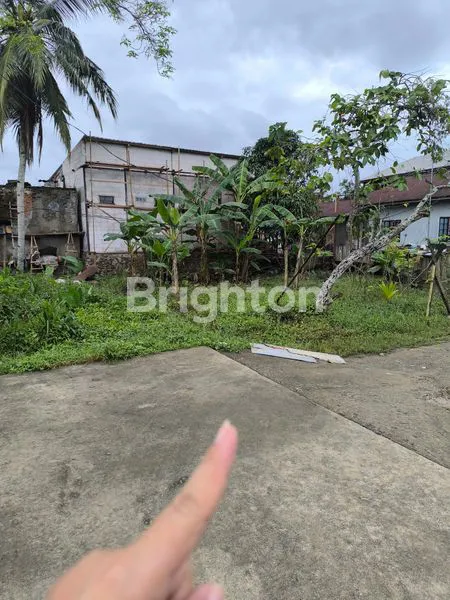 image KAPLING TENGAH KOTA (4)