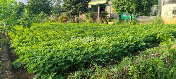 image TANAH 99M² SHM, HOOK LOKASI STRATEGIS (1)