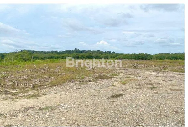 image INVESTASI PELABUHAN SIAP OPERASI 10 HEKTAR (3)