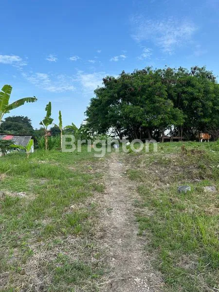 image TANAH COCOK UNTUK BANGUN VILLA DI UMALAS (3)