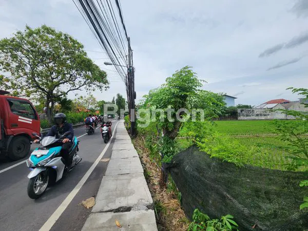 image DISEWAKAN TANAH 50 ARE DIJALAN KERTADALEM  SIDEKARYE DENPASAR SELATAN NYAMAN UNTUK HUNIAN DAN INVESTASI  (5)