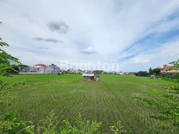 image DISEWAKAN TANAH 50 ARE DIJALAN KERTADALEM  SIDEKARYE DENPASAR SELATAN NYAMAN UNTUK HUNIAN DAN INVESTASI  (1)