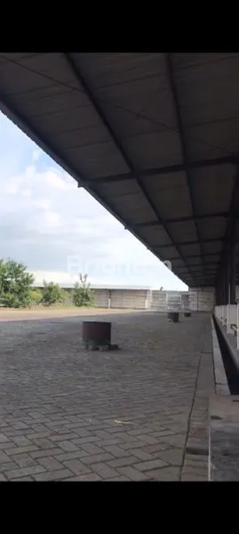 image EX PABRIK SEPATU (3)