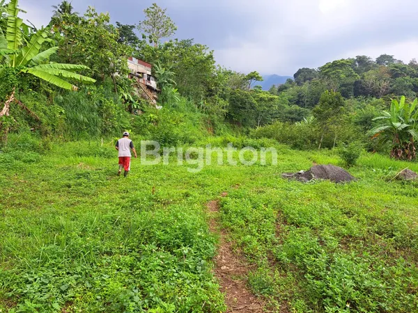 image DIJUAL SEBIDANG TANAH DI UNGARAN BARAT COCOK UNTUK PERUMAHAN (2)