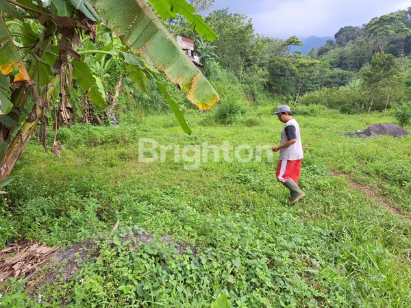 image DIJUAL SEBIDANG TANAH DI UNGARAN BARAT COCOK UNTUK PERUMAHAN (3)