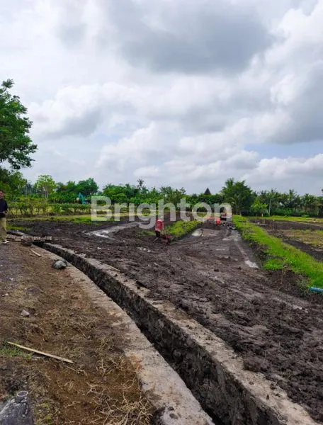 image TANAH KAVLING EKSKLUSIF DI PINGGIR PANTAI BELONG, KEDIRI TABANAN (6)