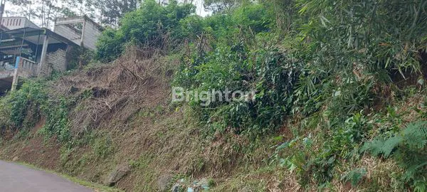 image TANAH/ KEBUN DI TAGOG APU, KAB. BANDUNG BARAT (3)