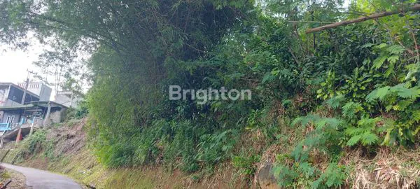 image TANAH/ KEBUN DI TAGOG APU, KAB. BANDUNG BARAT (6)