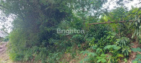 image TANAH/ KEBUN DI TAGOG APU, KAB. BANDUNG BARAT (4)