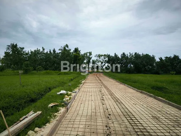 image TANAH KAVLING EKSKLUSIF DI PINGGIR PANTAI BELONG, KEDIRI TABANAN (2)