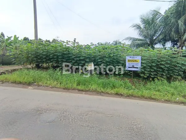 image TANAH DI PANCUR BATU (1)