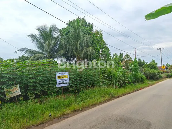 image TANAH DI PANCUR BATU (2)