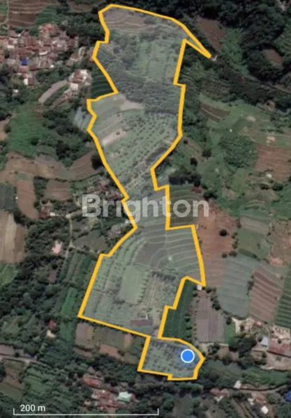 image KEBUN DURIAN PRODUKTIF 3,9HA VIEW GUNUNG SALAK (3)