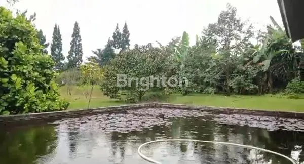 image KEBUN DURIAN PRODUKTIF 3,9HA VIEW GUNUNG SALAK (7)