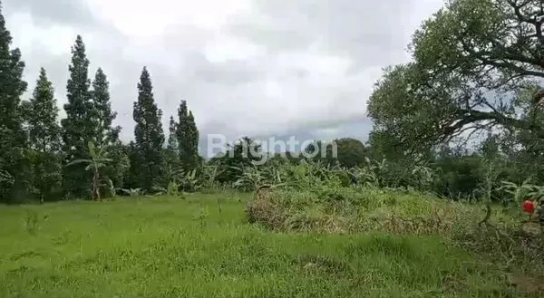 image KEBUN DURIAN PRODUKTIF 3,9HA VIEW GUNUNG SALAK (8)