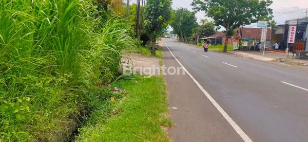 image TANAH DIJUAL LOKASI STRATEGIS JALUR UTAMA DENPASAR - GILIMANUK DESA BANYUBIRU JEMBRANA BALI (1)