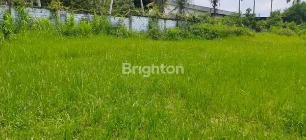 image TANAH DIJUAL LOKASI STRATEGIS JALUR UTAMA DENPASAR - GILIMANUK DESA BANYUBIRU JEMBRANA BALI (4)