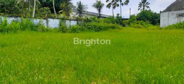 image TANAH DIJUAL LOKASI STRATEGIS JALUR UTAMA DENPASAR - GILIMANUK DESA BANYUBIRU JEMBRANA BALI (5)