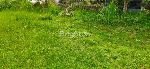 image TANAH DIJUAL LOKASI STRATEGIS JALUR UTAMA DENPASAR - GILIMANUK DESA BANYUBIRU JEMBRANA BALI (3)