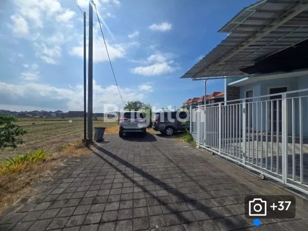 image DI JUAL RUMAH MINIMALIS DI RENON (3)