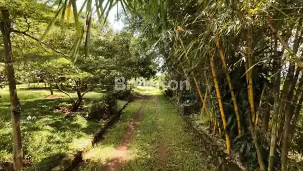 image DI JUAL TANAH KEBUN DI KAKI GUNUNG SALAK, CIJERUK,  BOGOR (3)