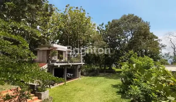 image DI JUAL TANAH KEBUN DI KAKI GUNUNG SALAK, CIJERUK,  BOGOR (5)