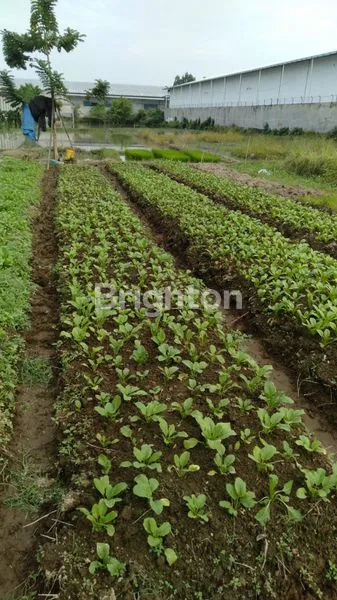 image LAHAN KOSONG SELUAS 7560 METER DI KAWASAN PABRIK DAN PERGUDANGAN, HANYA SEKITAR 5 MENIT DARI GERBANG TOL SEI SEMAYANG, COCOK UNTUK BANGUN PABRIK ATAU GUDANG (1)