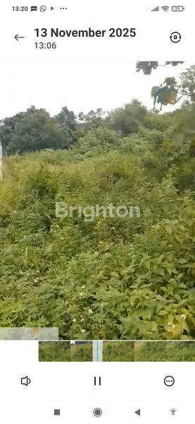 image LAHAN DAERAH CILEUNGSI (1)