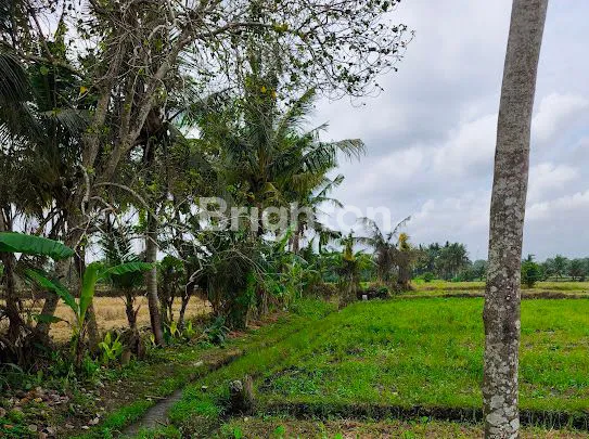 image TANAH KAVLING EXCLUSIVE PRIVATE AKSEN KE PANTAI & VIEW SAWAH DI TABANAN (3)