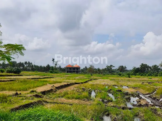 image TANAH KAVLING EXCLUSIVE PRIVATE AKSEN KE PANTAI & VIEW SAWAH DI TABANAN (5)